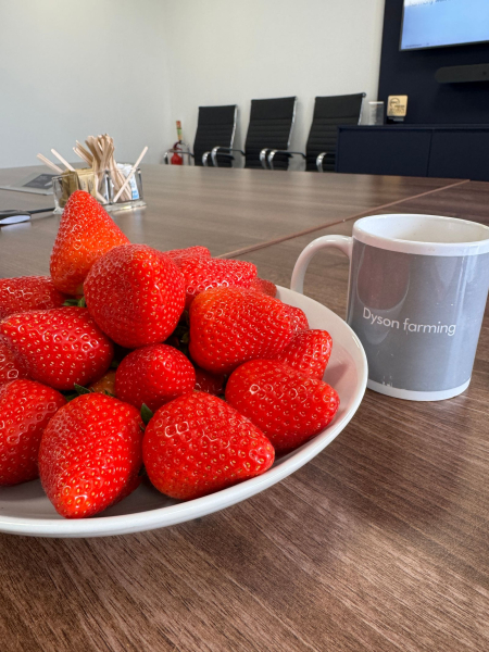 Image may contain Berry Food Fruit Plant Produce Strawberry Cup Chair Furniture and Plate